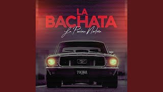 La Bachata [upl. by Eartnoed]