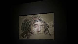 Zeugma Mosaics Museum 202406 [upl. by Denae]