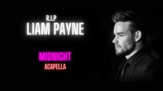 Liam Payne ft Alesso Midnight Acapella  Vocals Only [upl. by Flieger]