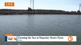 Sixpenny Oyster Farm [upl. by Padraic293]