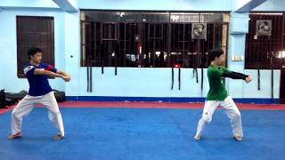 Koryo Poomsae with Master Ji Hochul [upl. by Eugeniusz853]