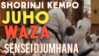 SHORINJI KEMPO 少林寺拳法 JUHO WAZA By SS Djumhana Sidik VII Dan [upl. by Anier367]