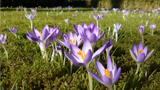 Weerbericht woensdagochtend Veel zon en zeer zacht [upl. by Alisa]