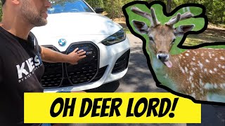 BMW i4 M50 Launch Control Interrupted by a Deer [upl. by Ardnossak806]