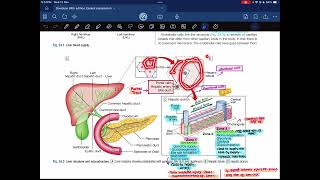 Hepatology03 Davidson  Medicine [upl. by Aicele]