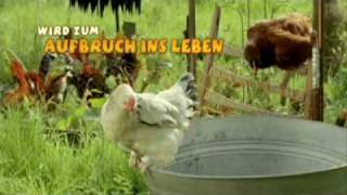 Die wilden Hühner und das Leben Trailer [upl. by Avot]