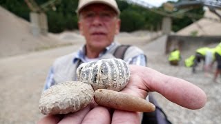 Fossiliensuche im Kies und Schotterwerk Kreuzfeld 1080p [upl. by Streeto]