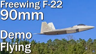 Tutorial Advanced Flying Techniques w Freewing F22 Raptor [upl. by Jade]