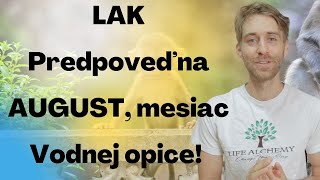 Predpoveď na mesiac august mesiac Vodnej opice [upl. by Ellatsyrc]