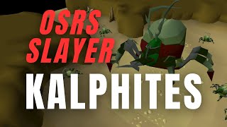 OSRS Slayer  KALPHITES  Get the FASTEST easy slayer XP in game [upl. by Donoho]