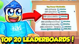 I GOT TOP 20 ON THE LEADERBOARDS IN PET SIMULATOR 99 [upl. by Merton573]