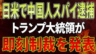 【速報】日米で中国人スパイ逮捕！「200％ではない、300％だ」トランプ大統領が即刻制裁を発表！習近平政府はパニックに陥り、衝撃的な行動に出た！中国経済全体が終わった！ [upl. by Wilson918]