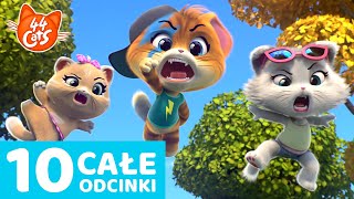 44 Cats  10 Całe odcinki 🧶🐈  Oglądaj sezon 1 2 [upl. by Nylecsoj]