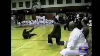 Chiryu Jujitsu Waking Hands Form [upl. by Kcuhc]