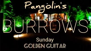 Itindo Muhirwa J B live cover at Pangolins BURROWS [upl. by Yeldnarb]