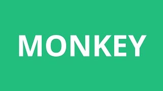 How To Pronounce Monkey  Pronunciation Academy [upl. by Marylinda]