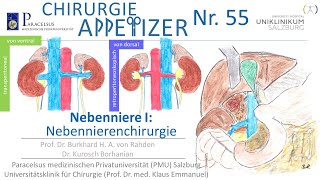 Nebennniere I Nebennierenchirurgie CHIRURGIE APPetizer Nr 55 [upl. by Akkinahs]