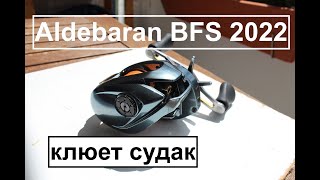 Знакомтесь Shimano Aldebaran BFS XG 2022 года А также покидушки на воде и борьба с судаком за 2 кг [upl. by Alehc]