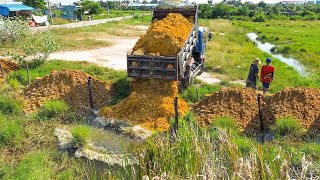 Starting New Project Landfilling by Excellent skill Driver Bulldozer KOMATSU Pushing Soil Rock [upl. by Gerti]