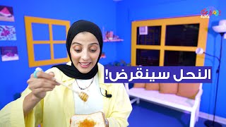 النحل سينقرض  هيك الكتاب بيحكي [upl. by Silsbye656]