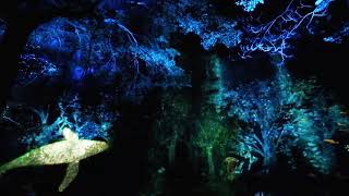 써티데이즈강천산 환상캠핑병풍폭포 미디어파사드 projection mapping in the forest by 30DAYs [upl. by Ailesor]