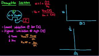 6 Uncompetitive Inhibition [upl. by Hymie33]