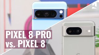 Google Pixel 8 Pro vs Pixel 8 Which one to get [upl. by Roi]