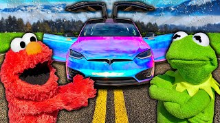 Kermit The Frog and Elmos CUSTOM RGB Christmas Tesla [upl. by Ntisuj705]