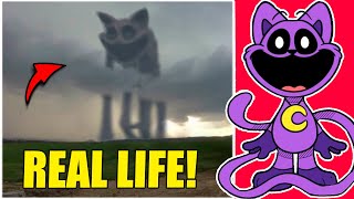 CATNAP WAS CAUGHT IN REAL LIFE POPPY PLAYTIME CHAPTER 3 in Minecraft [upl. by Notnirb519]