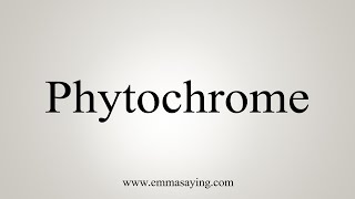 How To Say Phytochrome [upl. by Aelgna]