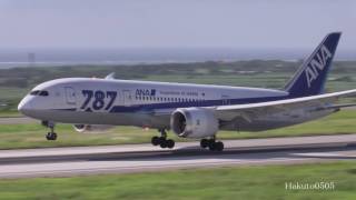 南ぬ島 石垣空港 ANA Boeing 7878 Dreamliner JA810A Landing at Ishigaki [upl. by Adnilim]