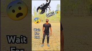 Kake and banana  bichhu 😱 cartoon shorts vfx vfxshorts funny viralvideo shubhyadavvfx [upl. by Arodnap392]