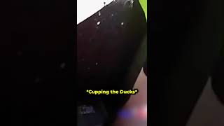 Officer Saves Ducklings from a Drain [upl. by Anawd]