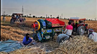 Wheat Harvesting Process in Punjab  Harvesting Season in Pakistan [upl. by Nosyaj]