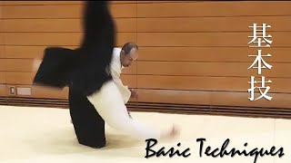 Aikido Basic Techniques  Katatedori amp Shomenuchi [upl. by Ettelrats]