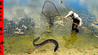 CATCHING the BLACK FISH BLIND Mystery GIANT of the POND [upl. by Dore]