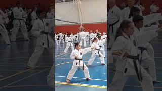 GKR Karate grading [upl. by Dore]