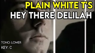 Plain White Ts  Hey There Delilah  Karaoke Instrumental  Lower [upl. by Juback755]