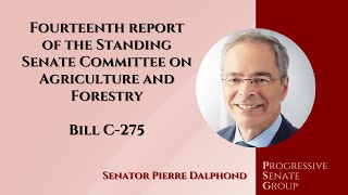 Senator Dalphond speaks at report stage of Bill C275  November 26 2024 English feed [upl. by Etnud85]