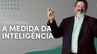 A medida da inteligência  Mario Sergio Cortella [upl. by Nevag]