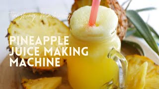 Pineapple juice commercial machine [upl. by Lezlie]