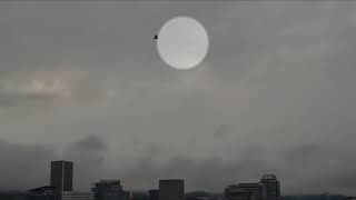 Mysterious object in sky zips over downtown Portland [upl. by Silvanus734]