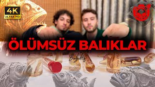 BALIK MUMYALAMAK  Etil Alkolde Balık Saklamak [upl. by Acilejna]