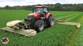 Hay Mowing Merging Chopping on a Dairy Farm [upl. by Siladnerb756]