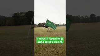 1 minute of wholesome green flags [upl. by Alur]