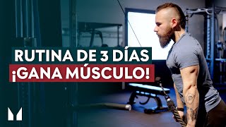 Rutina de 3 Días en el GIMNASIO para AUMENTAR MÚSCULO [upl. by Jesh]