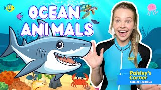 Toddler Learning  Learn Ocean Animals  Educational Videos for Kids  Learning Videos for Toddlers [upl. by Ienttirb]