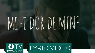 Gabriel Cotabita  Mie dor de mine Lyric Video [upl. by Odrareg]