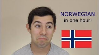 Can I Learn Norwegian in ONE Hour [upl. by Xet]