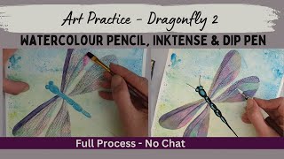 Drawing a dragonfly with inktense drawing ink and watercolour pencil full process no chat watch [upl. by Rashidi]